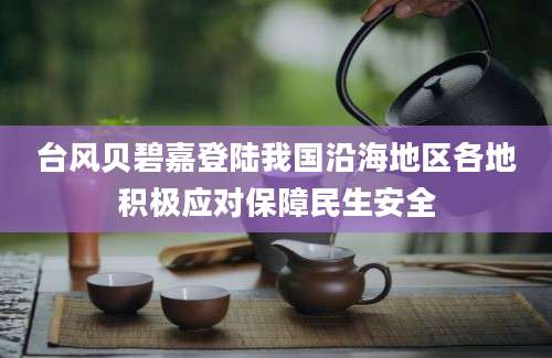 台风贝碧嘉登陆我国沿海地区各地积极应对保障民生安全
