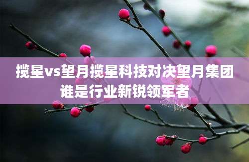 揽星vs望月揽星科技对决望月集团谁是行业新锐领军者