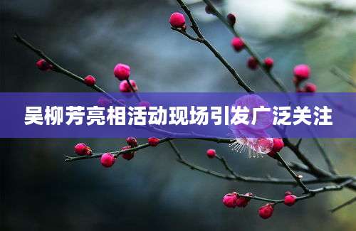 吴柳芳亮相活动现场引发广泛关注