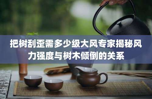 把树刮歪需多少级大风专家揭秘风力强度与树木倾倒的关系