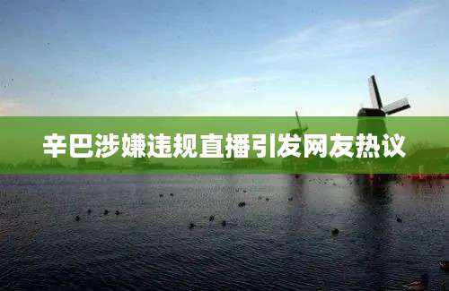 辛巴涉嫌违规直播引发网友热议