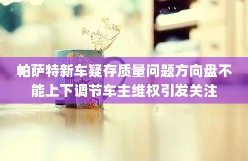 帕萨特新车疑存质量问题方向盘不能上下调节车主维权引发关注
