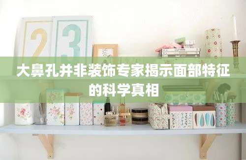 大鼻孔并非装饰专家揭示面部特征的科学真相