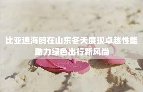 比亚迪海鸥在山东冬天展现卓越性能助力绿色出行新风尚