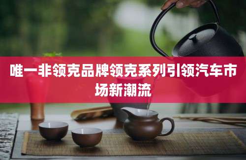 唯一非领克品牌领克系列引领汽车市场新潮流