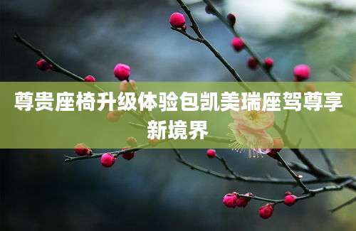 尊贵座椅升级体验包凯美瑞座驾尊享新境界