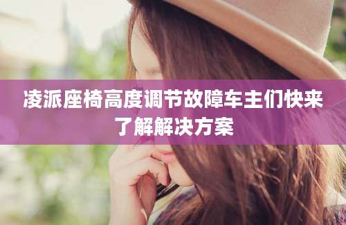 凌派座椅高度调节故障车主们快来了解解决方案