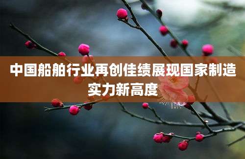 中国船舶行业再创佳绩展现国家制造实力新高度
