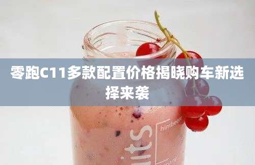 零跑C11多款配置价格揭晓购车新选择来袭