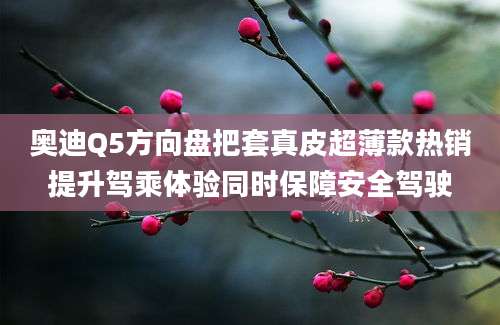 奥迪Q5方向盘把套真皮超薄款热销提升驾乘体验同时保障安全驾驶