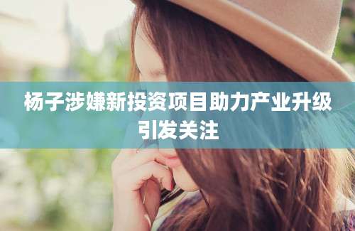 杨子涉嫌新投资项目助力产业升级引发关注