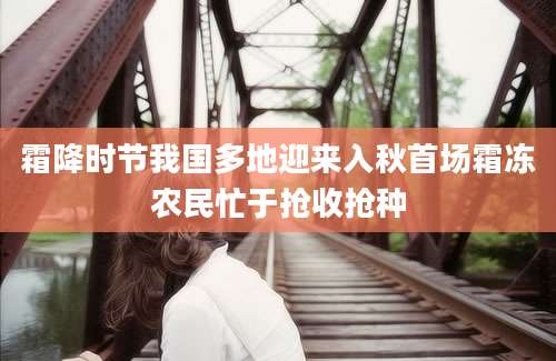 霜降时节我国多地迎来入秋首场霜冻农民忙于抢收抢种