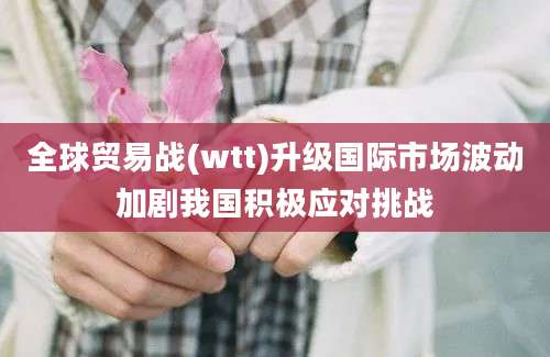 全球贸易战(wtt)升级国际市场波动加剧我国积极应对挑战