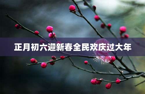 正月初六迎新春全民欢庆过大年