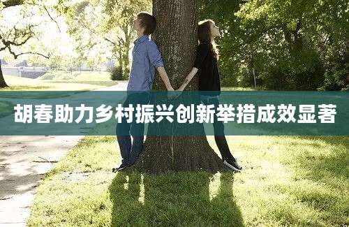 胡春助力乡村振兴创新举措成效显著