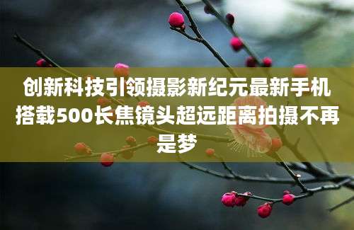 创新科技引领摄影新纪元最新手机搭载500长焦镜头超远距离拍摄不再是梦