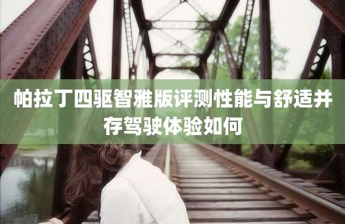 帕拉丁四驱智雅版评测性能与舒适并存驾驶体验如何