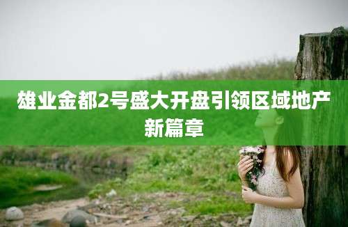 雄业金都2号盛大开盘引领区域地产新篇章