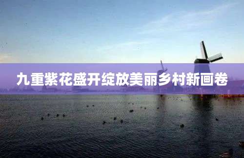 九重紫花盛开绽放美丽乡村新画卷