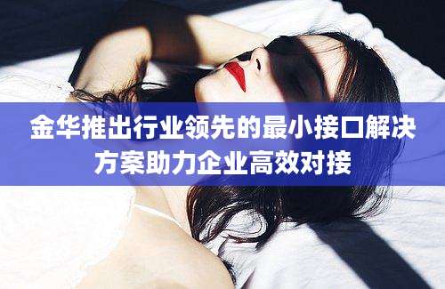金华推出行业领先的最小接口解决方案助力企业高效对接