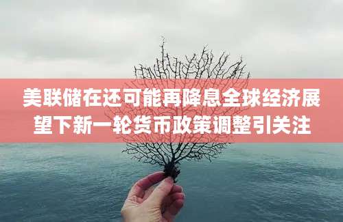 美联储在还可能再降息全球经济展望下新一轮货币政策调整引关注