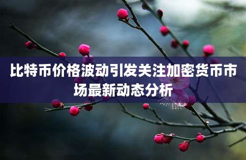 比特币价格波动引发关注加密货币市场最新动态分析