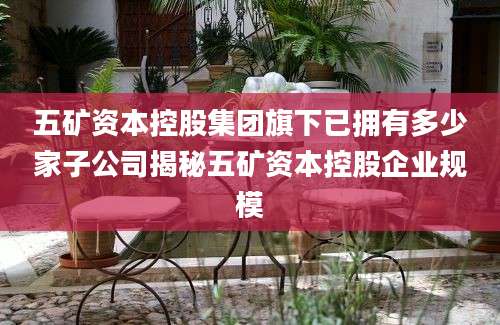 五矿资本控股集团旗下已拥有多少家子公司揭秘五矿资本控股企业规模