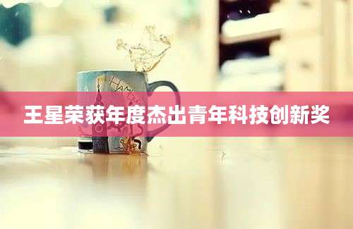王星荣获年度杰出青年科技创新奖