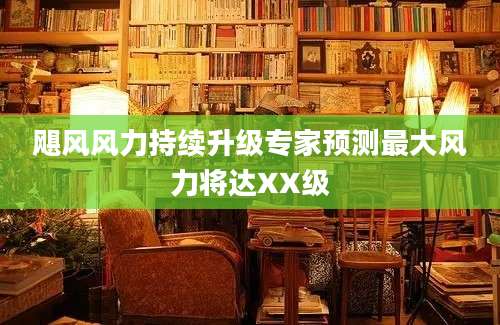 飓风风力持续升级专家预测最大风力将达XX级