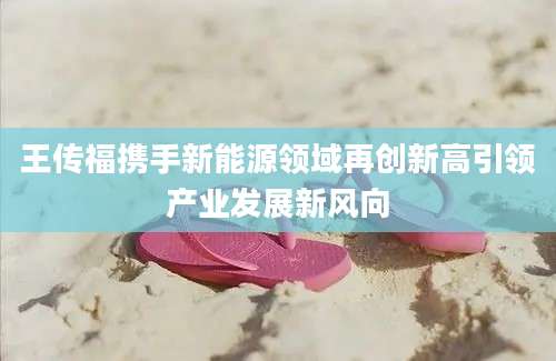 王传福携手新能源领域再创新高引领产业发展新风向
