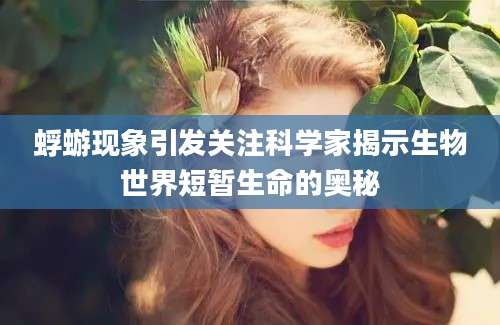 蜉蝣现象引发关注科学家揭示生物世界短暂生命的奥秘