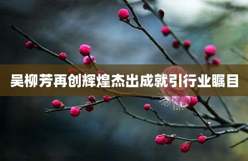 吴柳芳再创辉煌杰出成就引行业瞩目