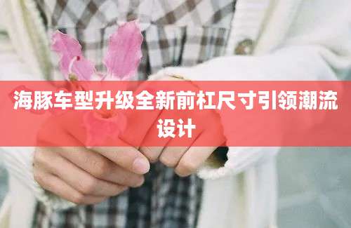 海豚车型升级全新前杠尺寸引领潮流设计