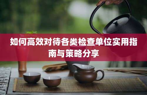 如何高效对待各类检查单位实用指南与策略分享