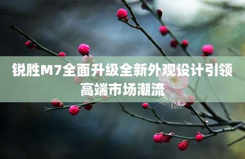 锐胜M7全面升级全新外观设计引领高端市场潮流