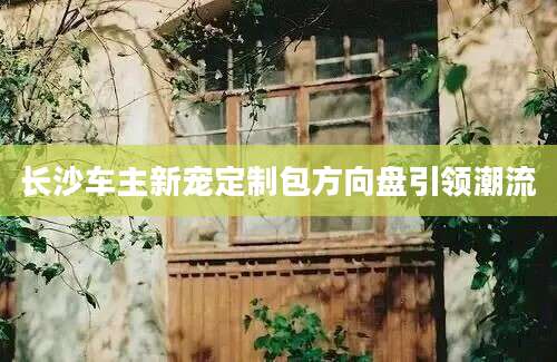 长沙车主新宠定制包方向盘引领潮流