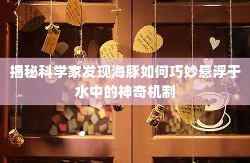 揭秘科学家发现海豚如何巧妙悬浮于水中的神奇机制