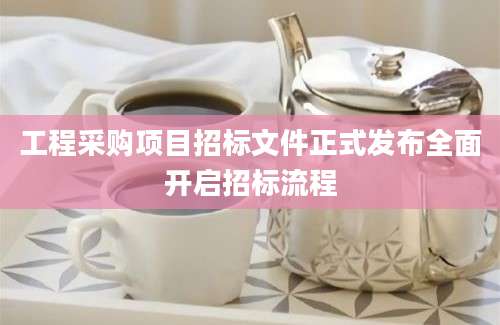 工程采购项目招标文件正式发布全面开启招标流程