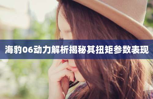 海豹06动力解析揭秘其扭矩参数表现