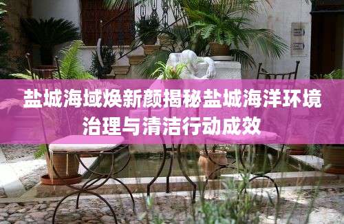 盐城海域焕新颜揭秘盐城海洋环境治理与清洁行动成效
