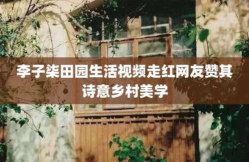 李子柒田园生活视频走红网友赞其诗意乡村美学