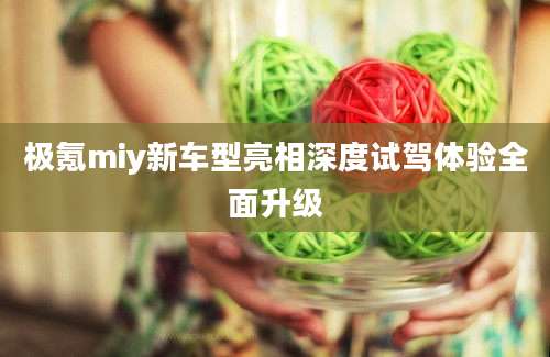 极氪miy新车型亮相深度试驾体验全面升级