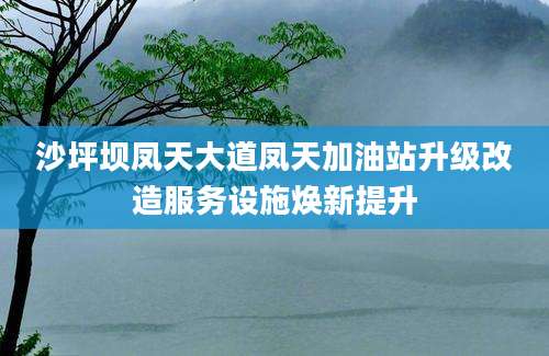 沙坪坝凤天大道凤天加油站升级改造服务设施焕新提升