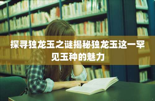 探寻独龙玉之谜揭秘独龙玉这一罕见玉种的魅力