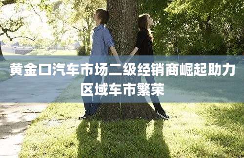 黄金口汽车市场二级经销商崛起助力区域车市繁荣