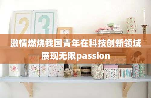 激情燃烧我国青年在科技创新领域展现无限passion