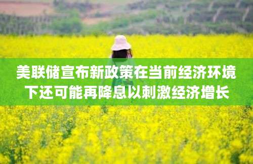 美联储宣布新政策在当前经济环境下还可能再降息以刺激经济增长