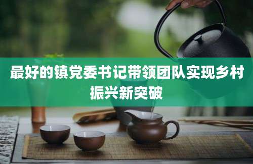 最好的镇党委书记带领团队实现乡村振兴新突破