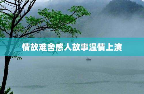 情故难舍感人故事温情上演