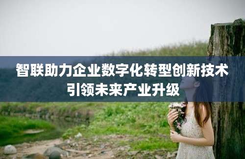 智联助力企业数字化转型创新技术引领未来产业升级